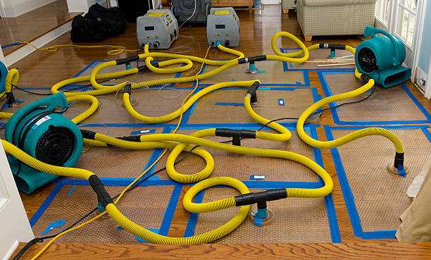 Professional Burst Pipe Water Damage technician working in Coleman, WI